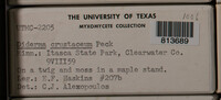 Image Associated With the Occurence